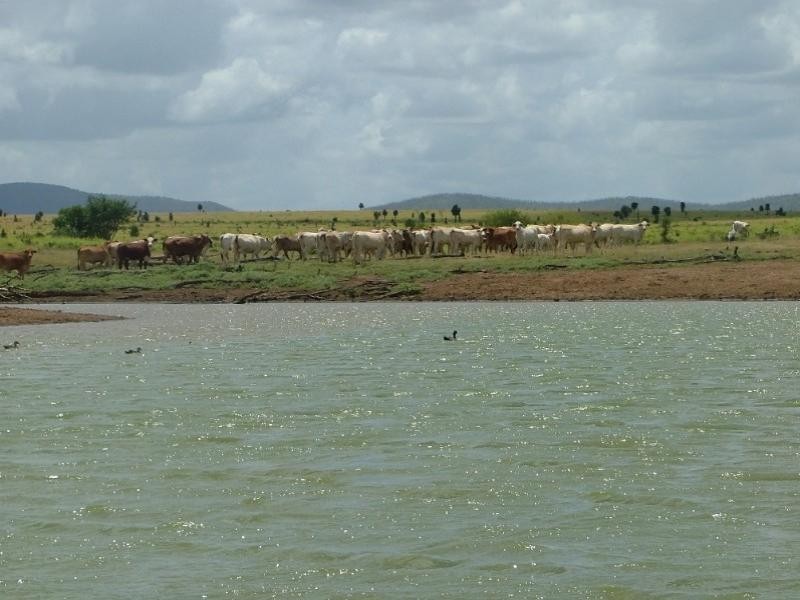 2938 Apis Creek Road, Marlborough QLD 4705