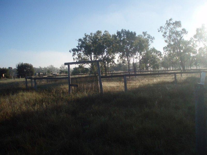 455 Alton Downs-Nine Mile Road, Alton Downs QLD 4702