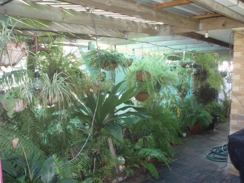 35 Beak Street, Gracemere QLD 4702