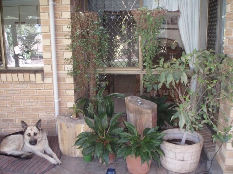 35 Beak Street, Gracemere QLD 4702