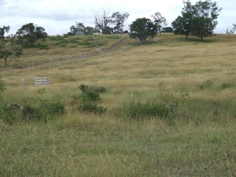 356 Mount Larcom-Bracewell Road, Mount Larcom QLD 4695