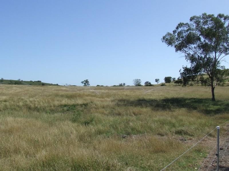 356 Mount Larcom-Bracewell Road, Mount Larcom QLD 4695