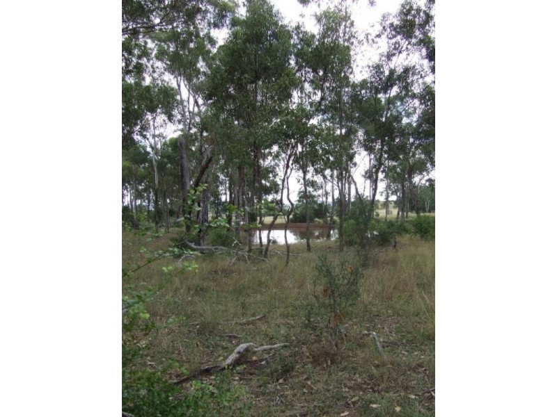 356 Mount Larcom-Bracewell Road, Mount Larcom QLD 4695