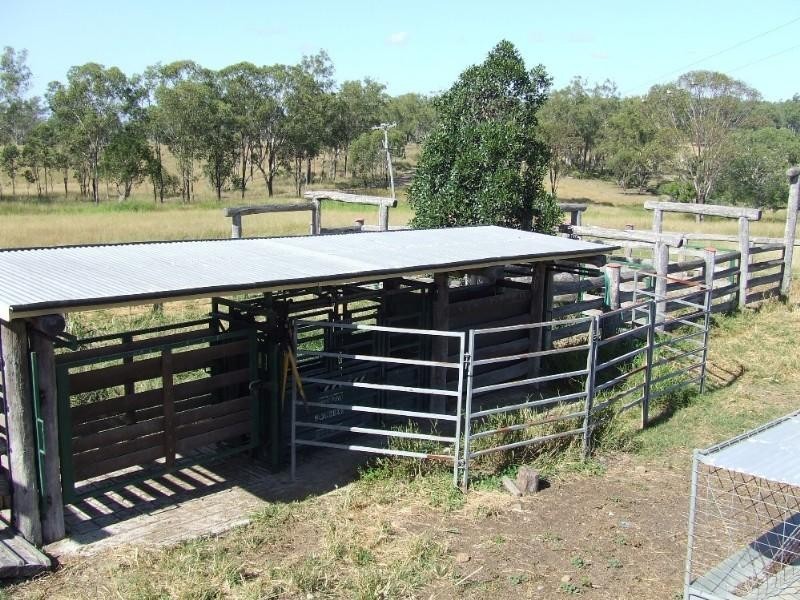 356 Mount Larcom-Bracewell Road, Mount Larcom QLD 4695