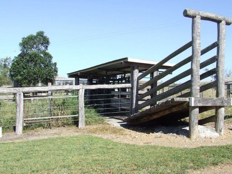 356 Mount Larcom-Bracewell Road, Mount Larcom QLD 4695