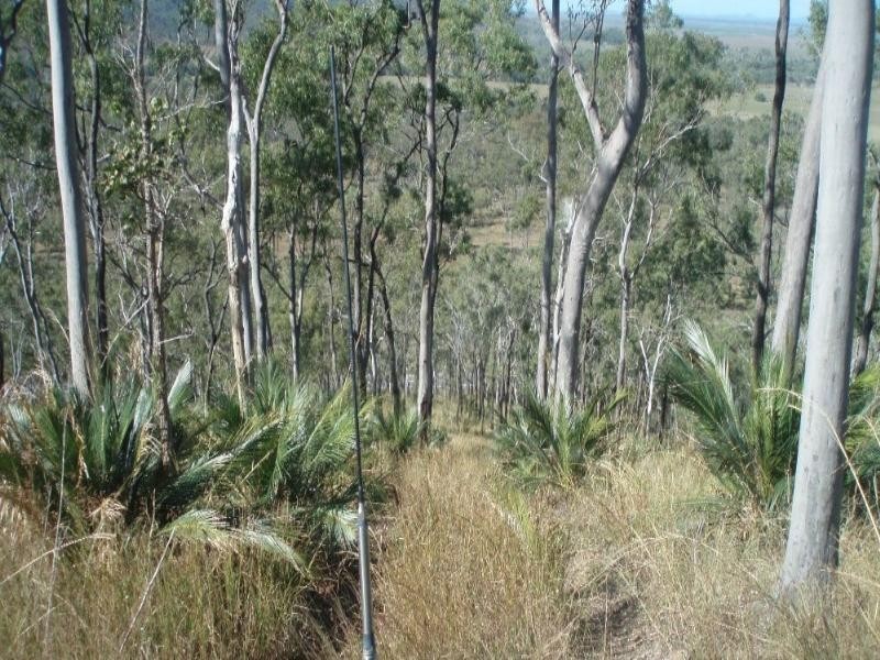 1033 Emu Park Road, Nankin QLD 4701