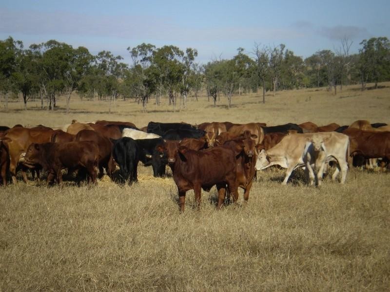 47953 Burnett Highway, Dululu QLD 4702