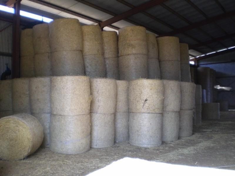 47953 Burnett Highway, Dululu QLD 4702