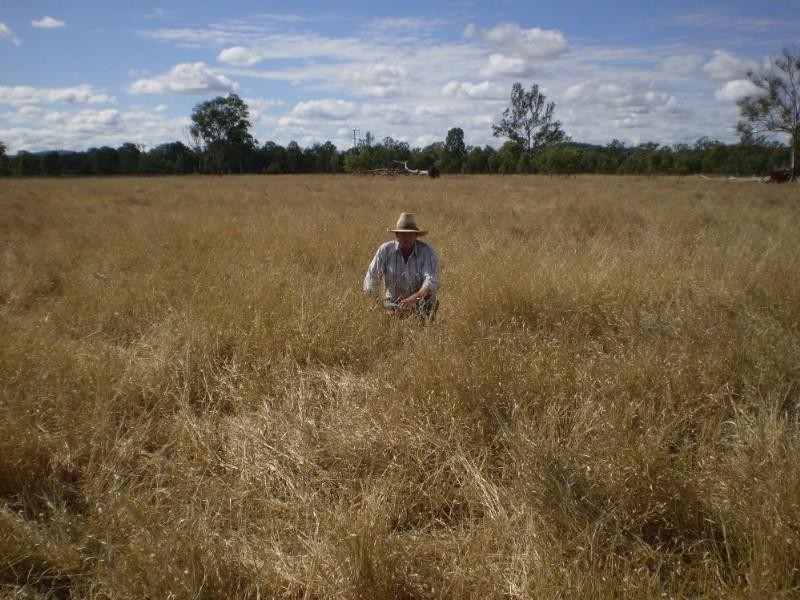 47953 Burnett Highway, Dululu QLD 4702