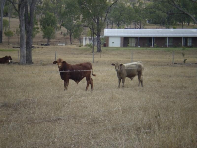 47953 Burnett Highway, Dululu QLD 4702