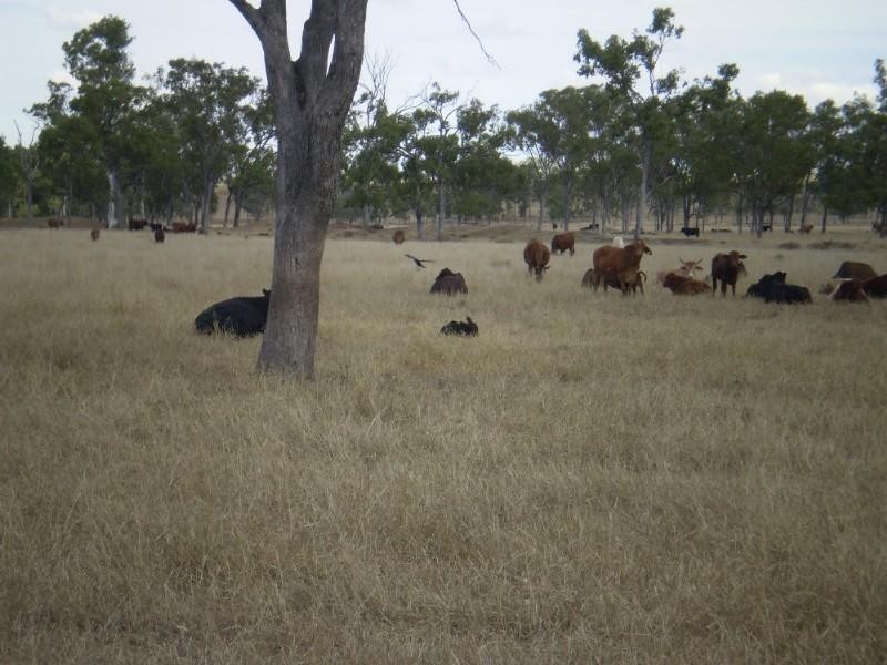 47953 Burnett Highway, Dululu QLD 4702