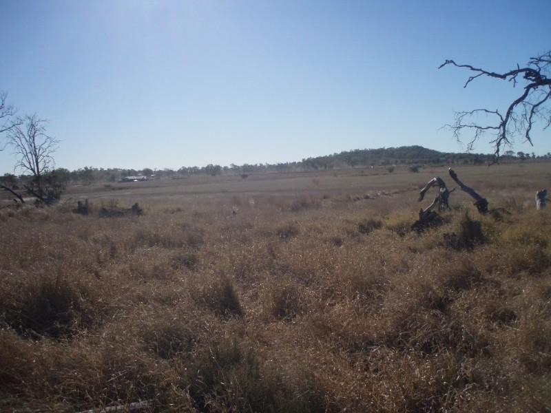 Lot 241 McKenzie Road, Alton Downs QLD 4702
