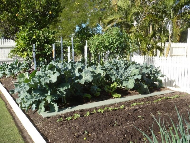 99 West Street, Allenstown QLD 4700