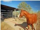 60385 Bruce Highway, Rockhampton QLD 4700