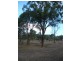 Lot 3 Mount Usher Road, Bouldercombe QLD 4702