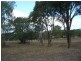 Lot 3 Mount Usher Road, Bouldercombe QLD 4702