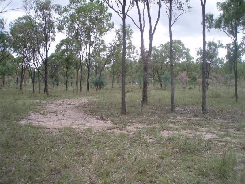 323 E Williams Road, Kabra QLD 4702