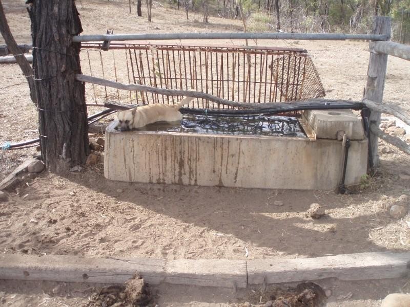 . Josefski Road, Stanwell QLD 4702