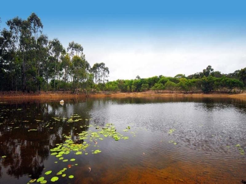 358 Browns Lane, Bungundarra QLD 4703