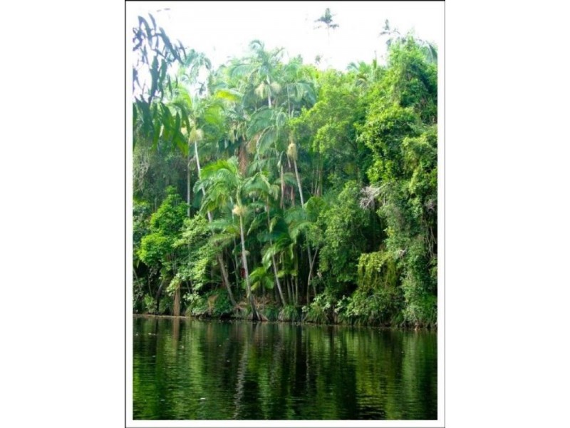 0 Red Gravel Road, Byfield QLD 4703