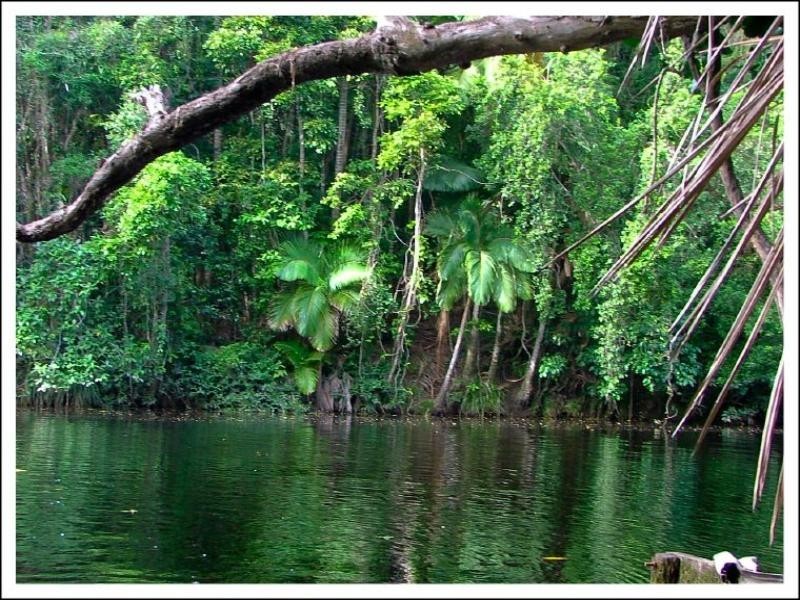 0 Red Gravel Road, Byfield QLD 4703