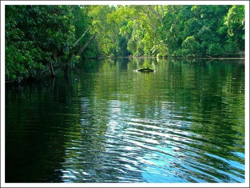 0 Red Gravel Road, Byfield QLD 4703