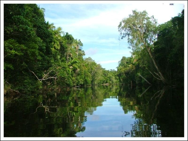 0 Red Gravel Road, Byfield QLD 4703