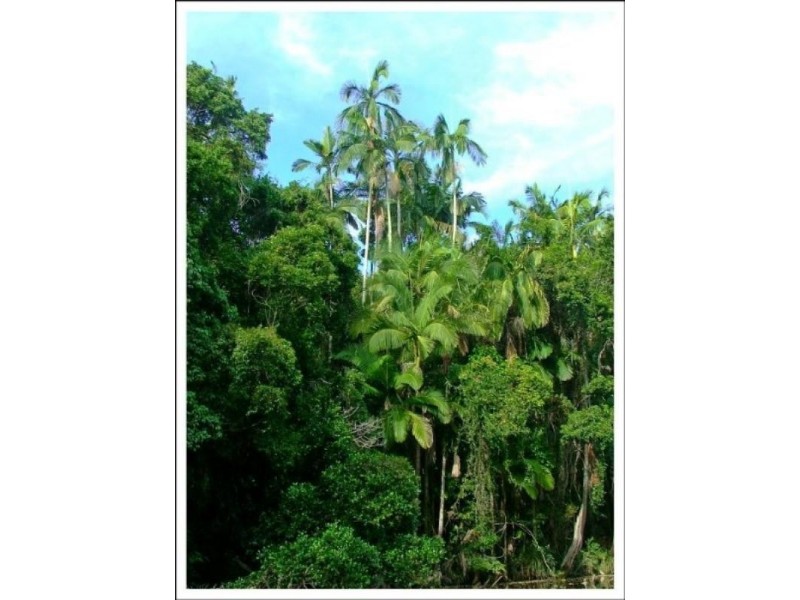 0 Red Gravel Road, Byfield QLD 4703