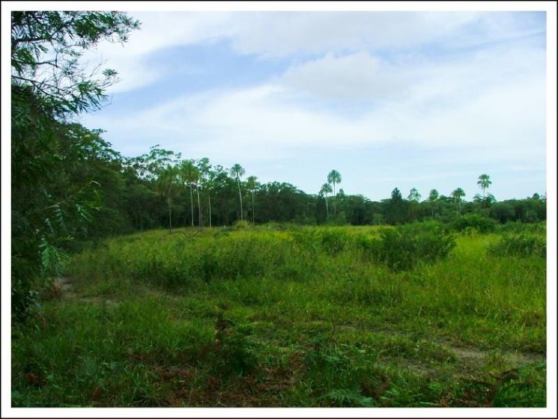 0 Red Gravel Road, Byfield QLD 4703