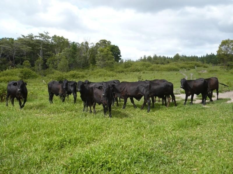 0 Red Gravel Road, Byfield QLD 4703