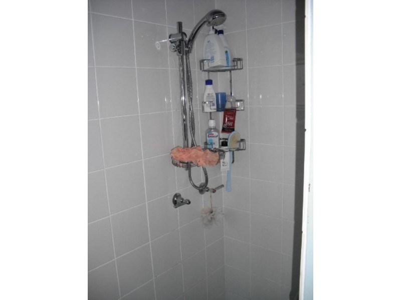 14 Fogarty Road, Gracemere QLD 4702