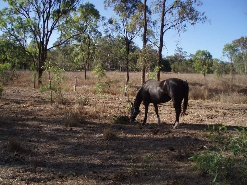 53 Fourteen Mile Road, The Caves QLD 4702