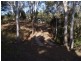53 Fourteen Mile Road, The Caves QLD 4702
