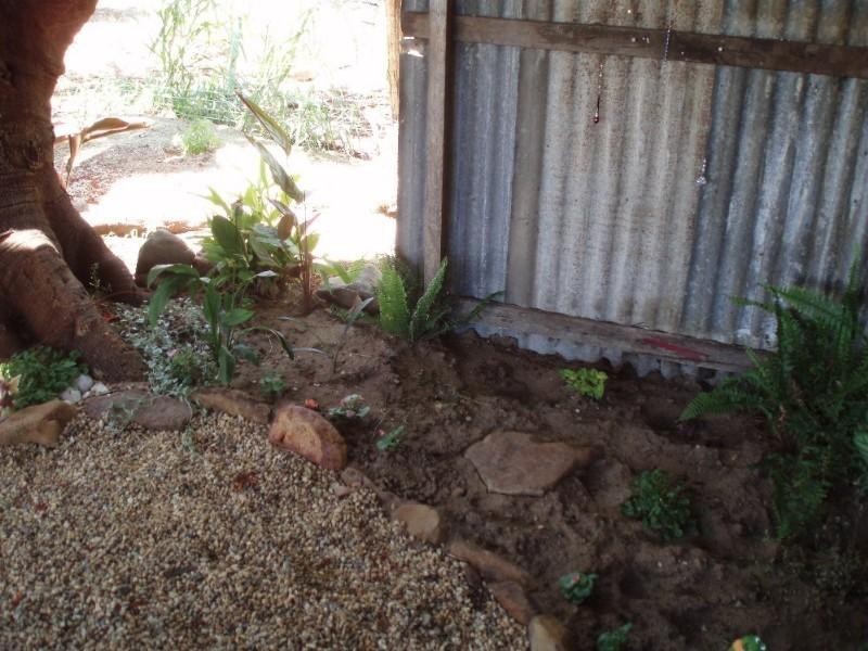 111 Livingstone Street, Berserker QLD 4701