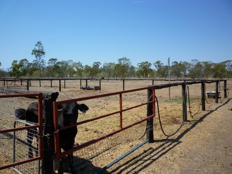 108 Oxley Street, Gracemere QLD 4702