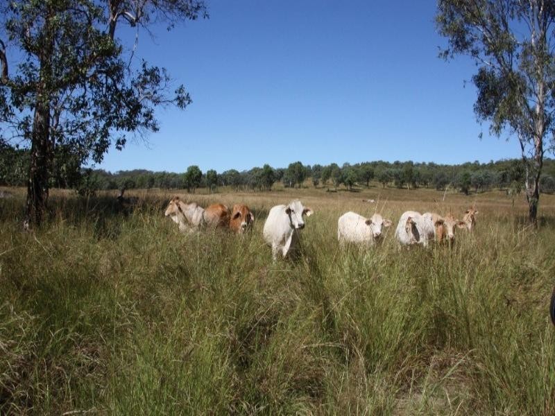 0 Mt Hopeful Road, Bajool QLD 4699