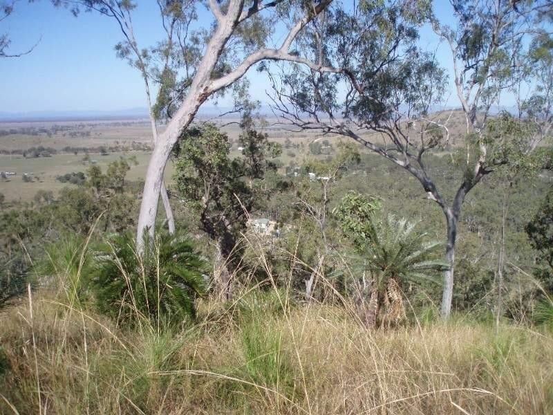 1033 Emu Park Road, Nankin QLD 4701