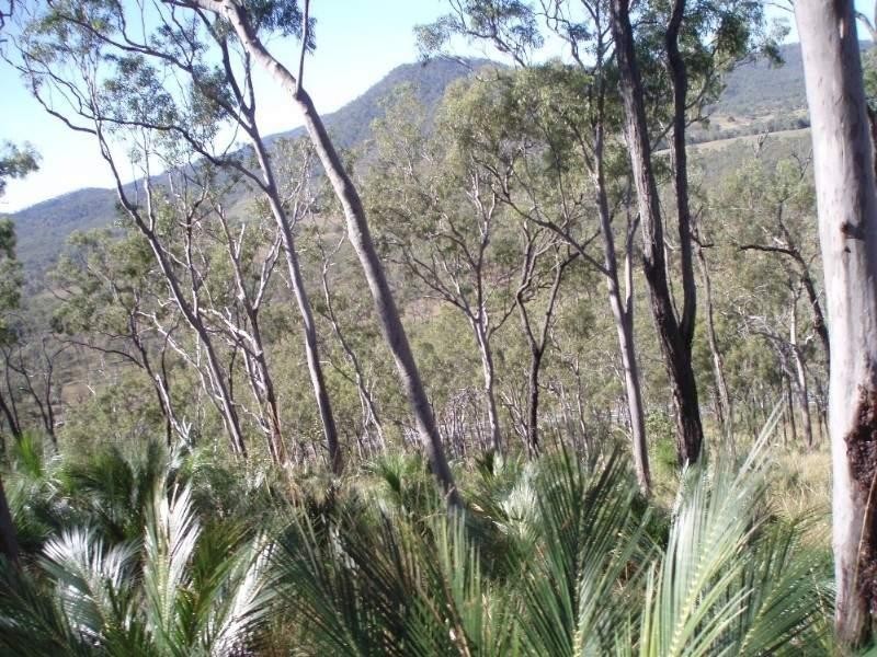 1033 Emu Park Road, Nankin QLD 4701