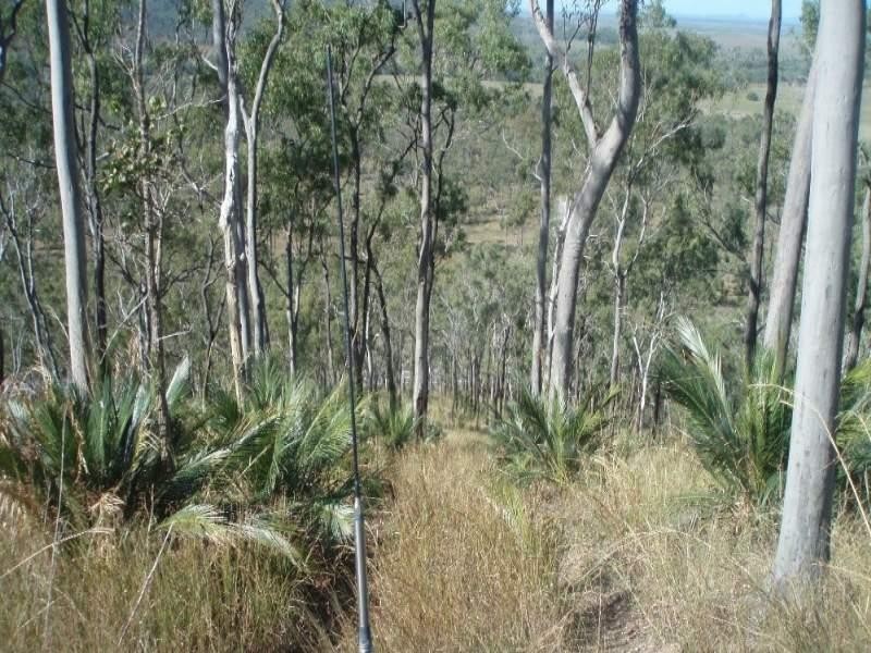 1033 Emu Park Road, Nankin QLD 4701