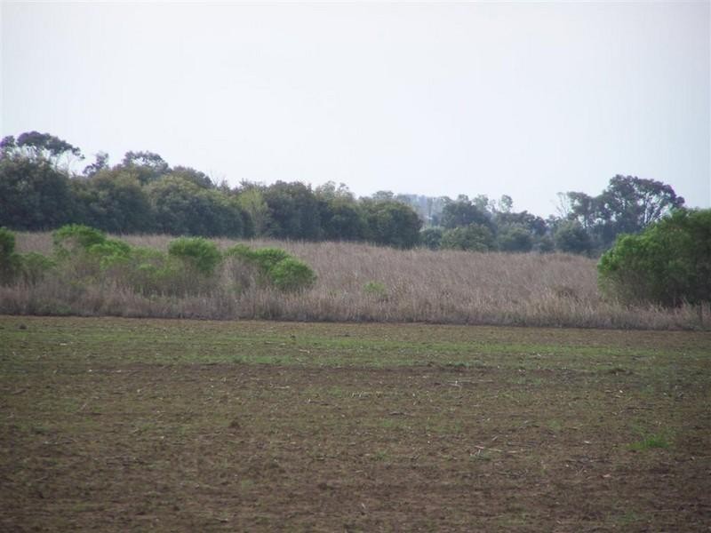 Lot 2330 South Yaamba Road, South Yaamba QLD 4702