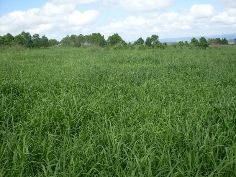 512 Longs Road, Monto QLD 4630