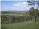 594 Tellebang Road, Monto QLD 4630