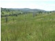 . Mt Hopeful Road, Bajool QLD 4699