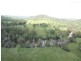 . Mt Hopeful Road, Bajool QLD 4699