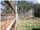 . Mt Hopeful Road, Bajool QLD 4699