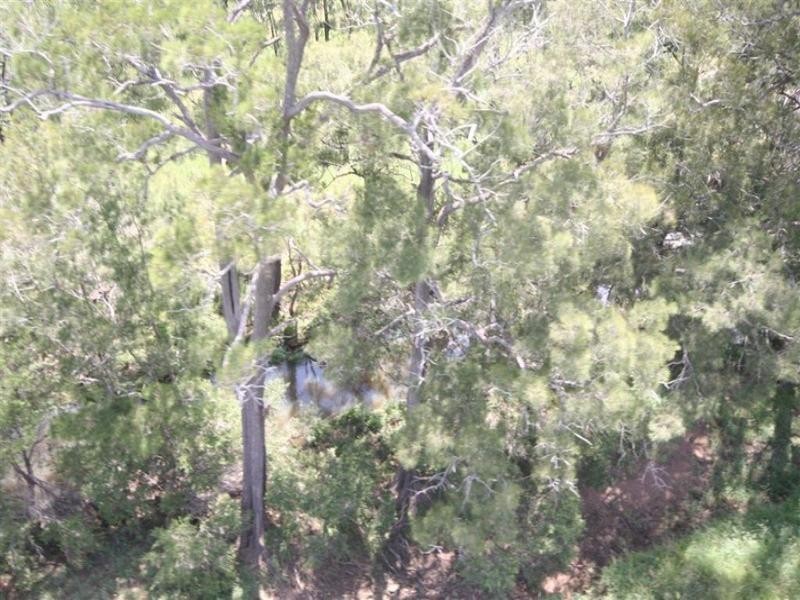 . Mt Hopeful Road, Bajool QLD 4699