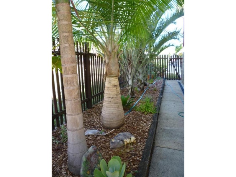 6 Sydney King Close, Gracemere QLD 4702