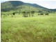 Lot 111 Romers Road, Wowan QLD 4702