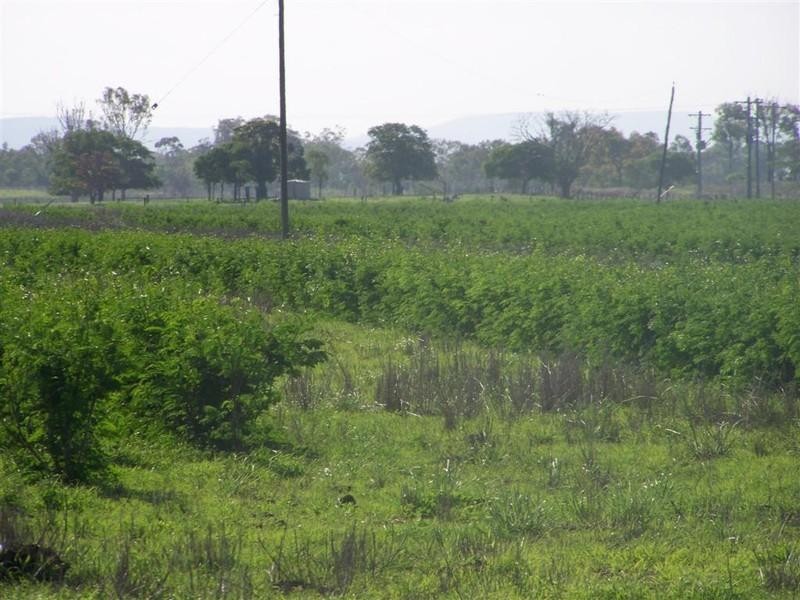 Lot 117 Alton Downs Nine Mile Road, Alton Downs QLD 4702