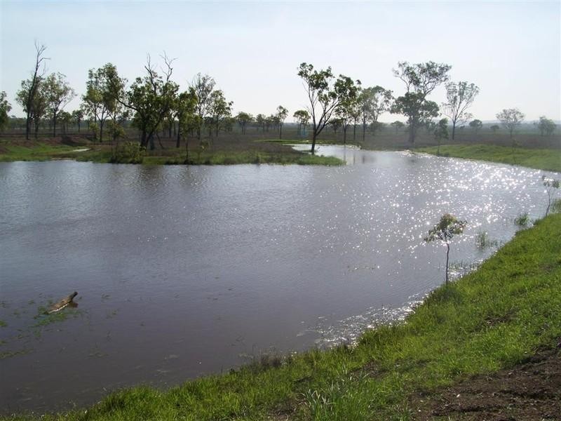 Lot 117 Alton Downs Nine Mile Road, Alton Downs QLD 4702